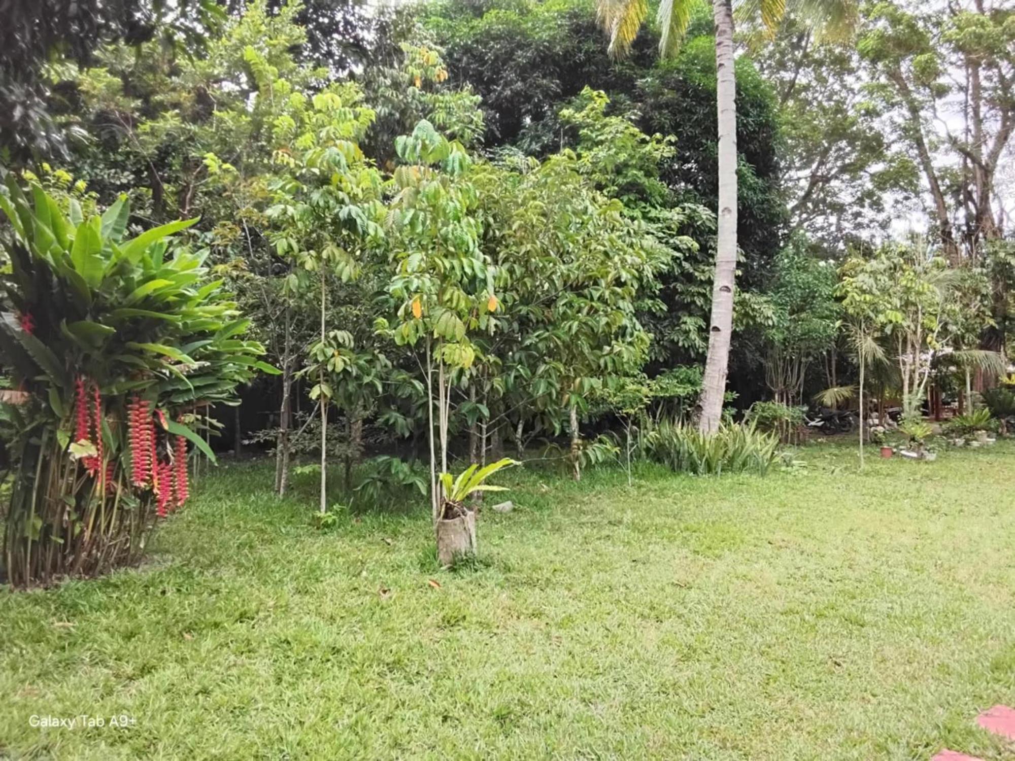 Camiguin Lanzones Resort Mambajao Exterior foto